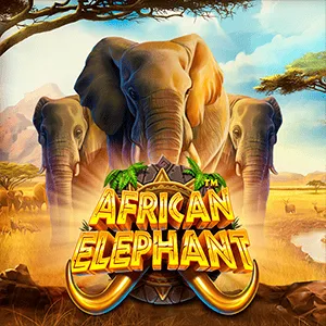 African Elephant